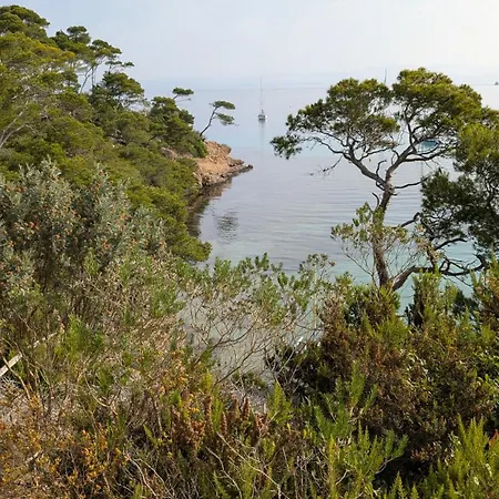 T3 Avec Terrasse, Parking & Piscine - Proche Plages Et Randos - Le Merou Apartment Hyeres