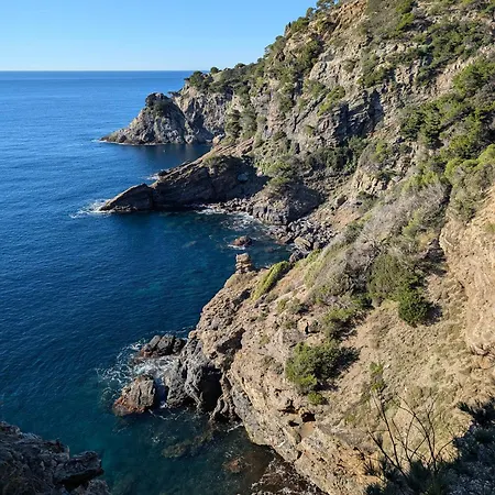 Apartment T3 Avec Terrasse, Parking & Piscine - Proche Plages Et Randos - Le Merou Hyeres