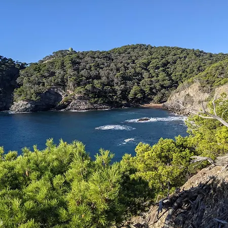 T3 Avec Terrasse, Parking & Piscine - Proche Plages Et Randos - Le Merou Hyeres